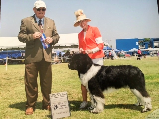 Фотография № 229190