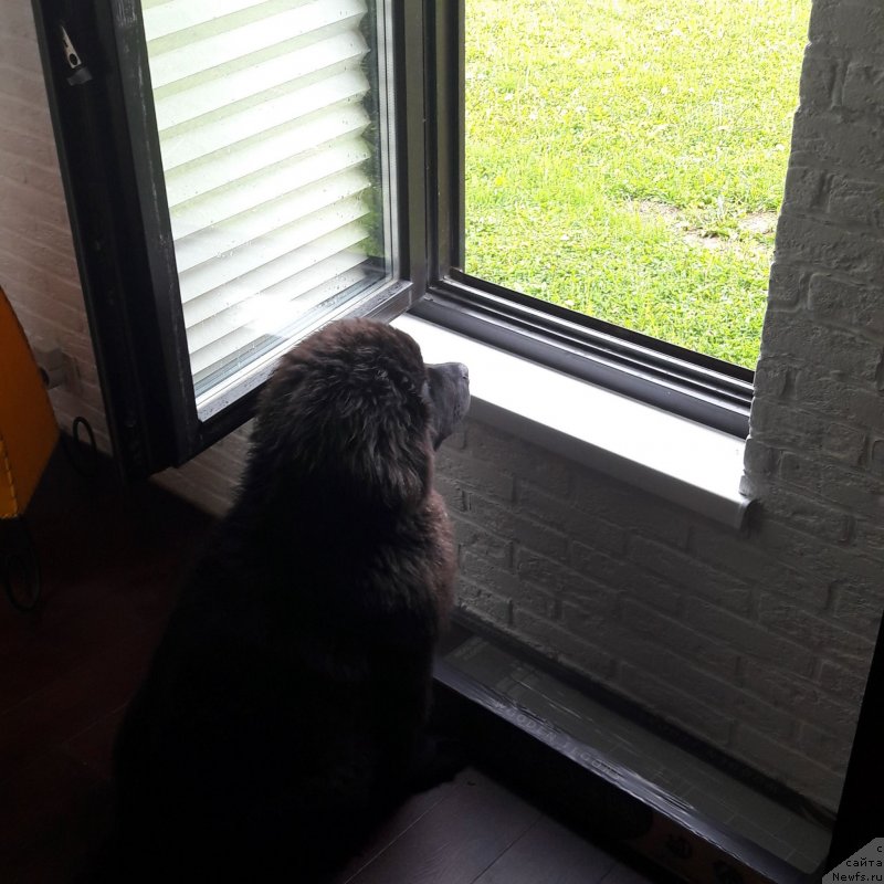 Фотография № 229198