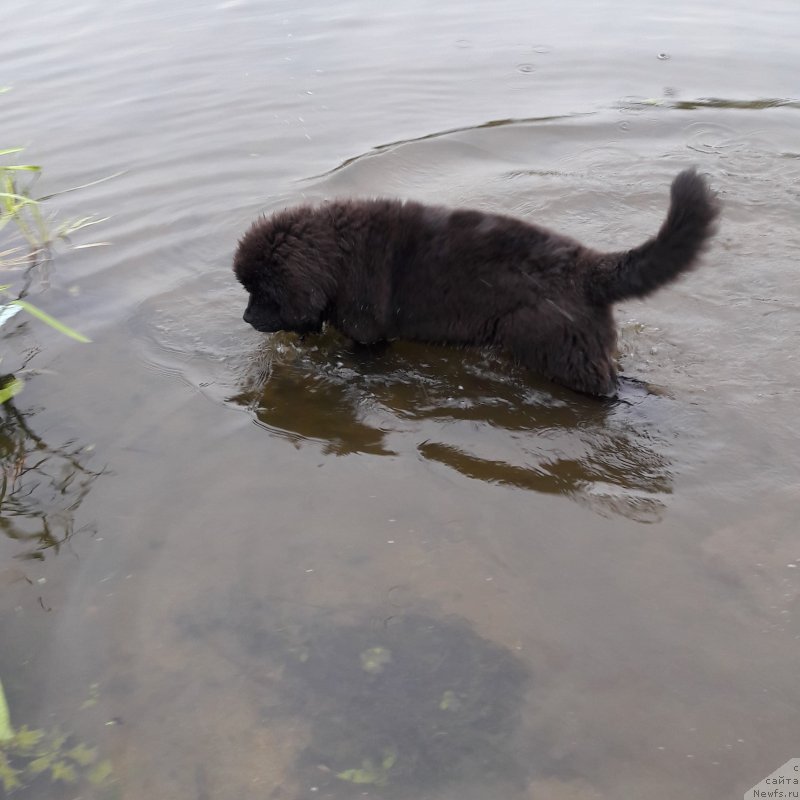 Фотография № 229203