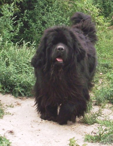 Фотография № 229210