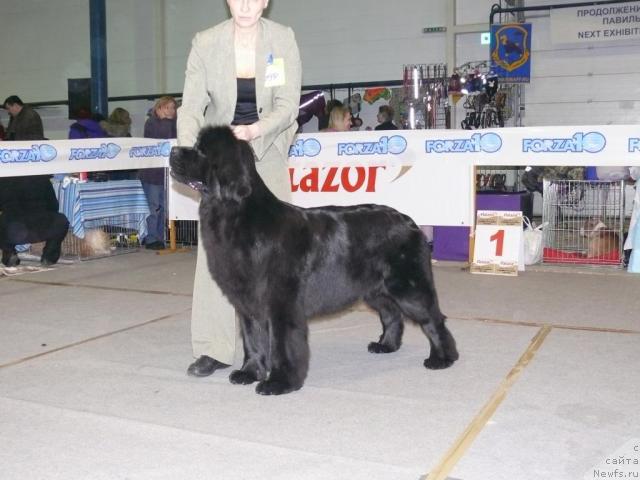 Фотография № 22925