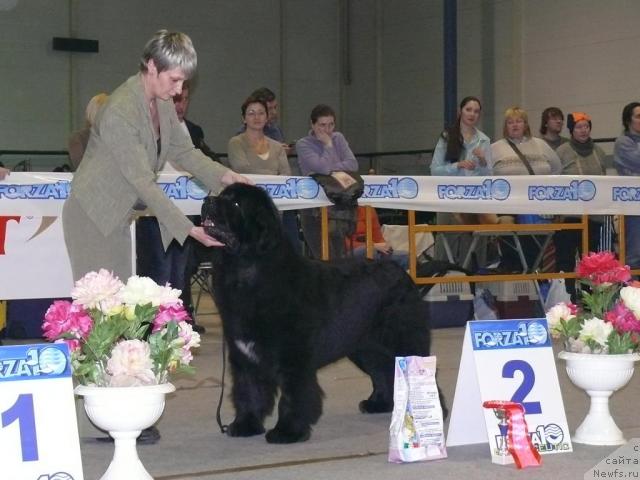 Фотография № 22926