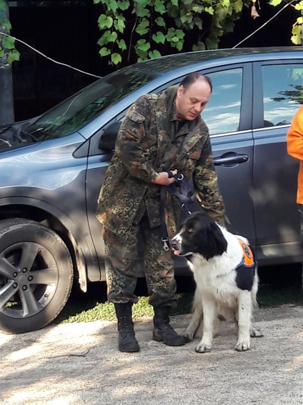 Фотография № 229267