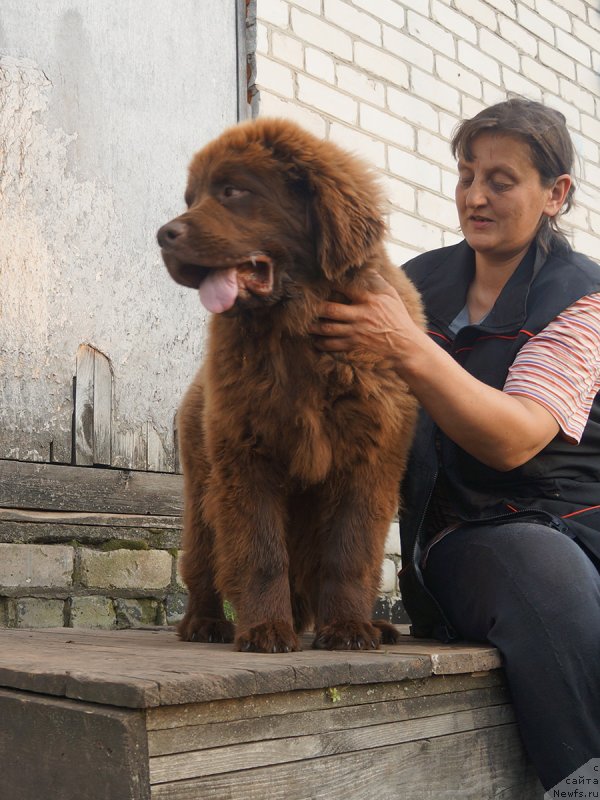 Фотография № 229283