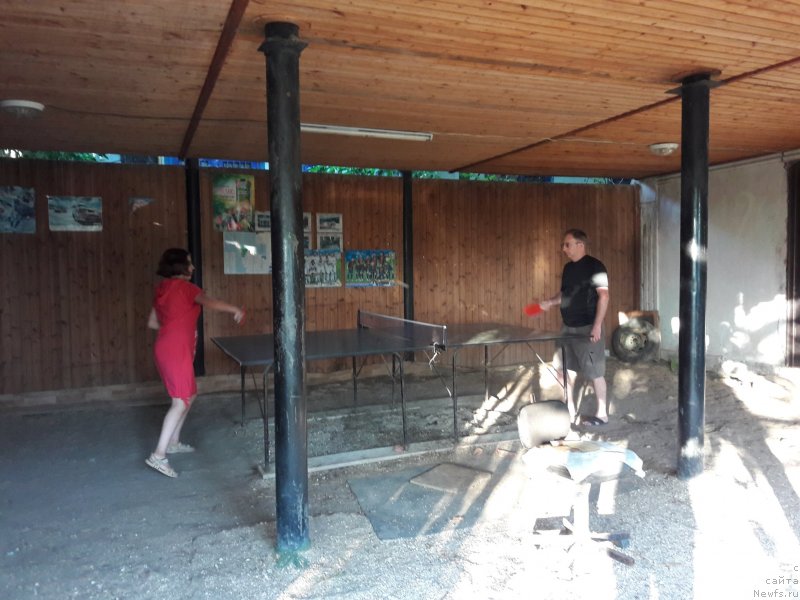 Фотография № 229292