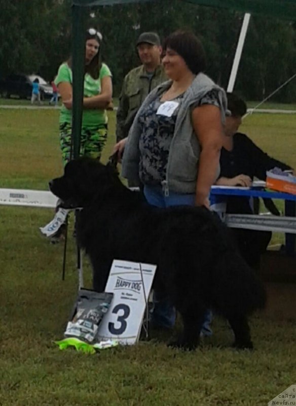 Фотография № 229327