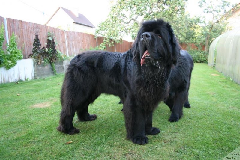 Фотография № 229333