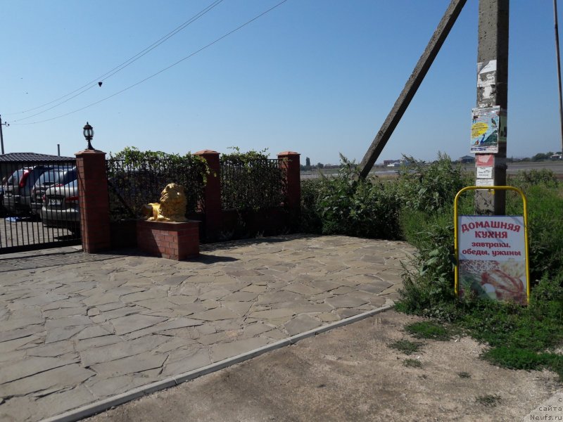 Фотография № 229350