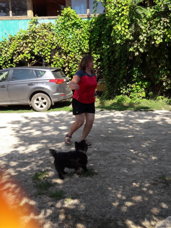 Фотография № 229359