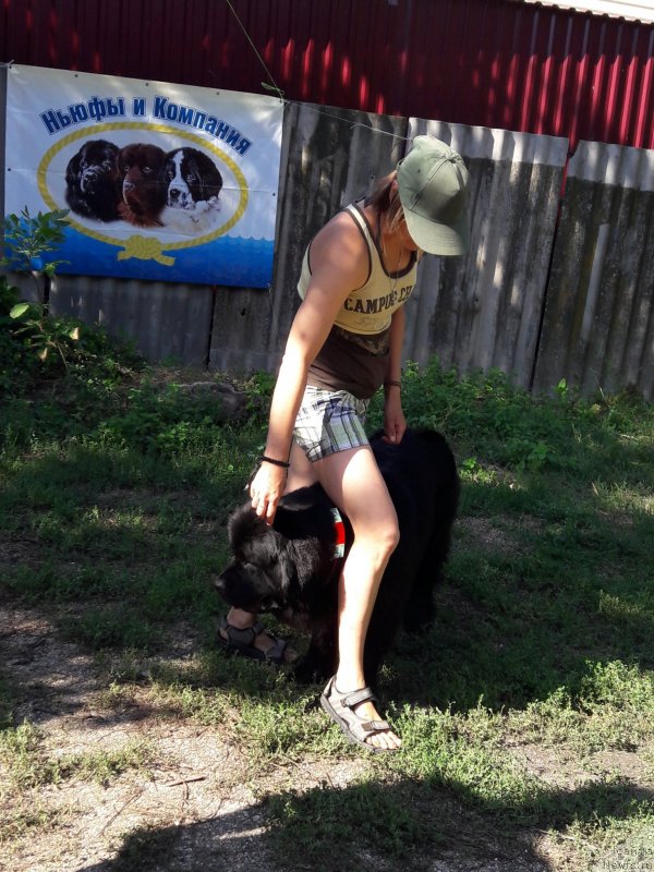 Фотография № 229365