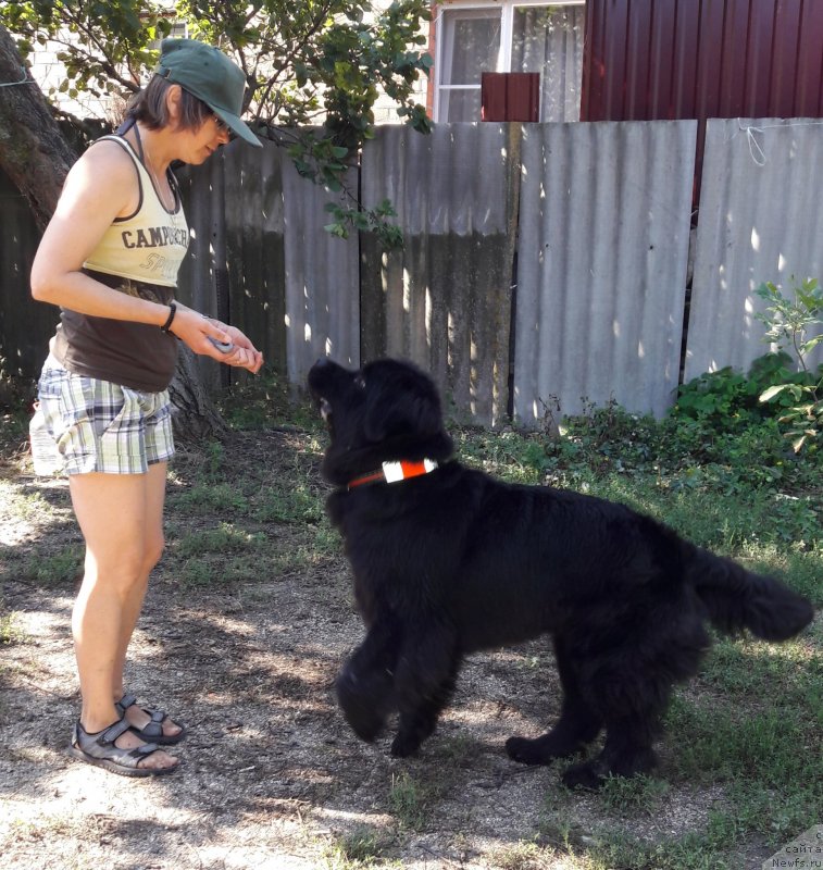 Фотография № 229366