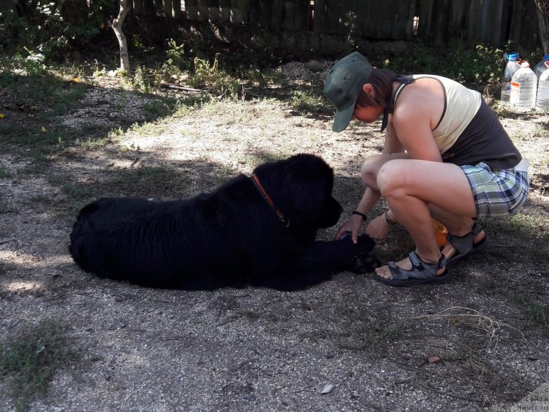 Фотография № 229367