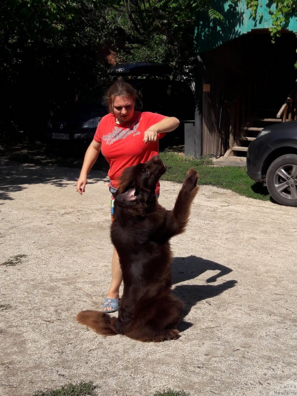 Фотография № 229373