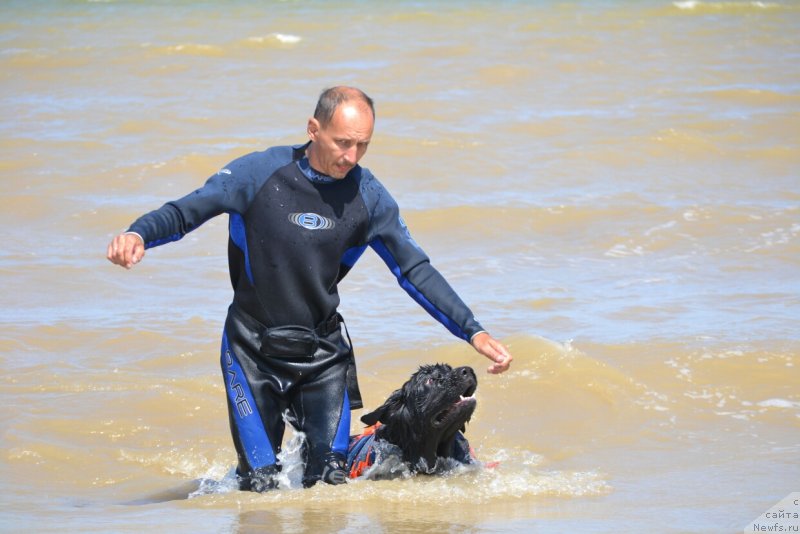 Фотография № 229379