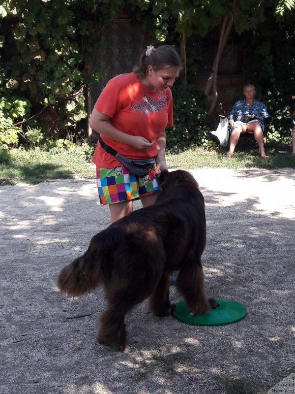 Фотография № 229380