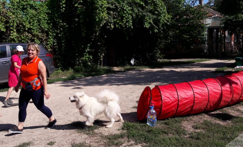 Фотография № 229384