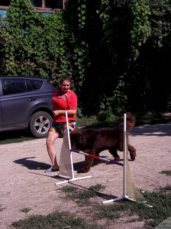 Фотография № 229396