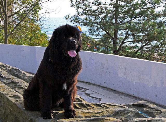 Фотография № 22940