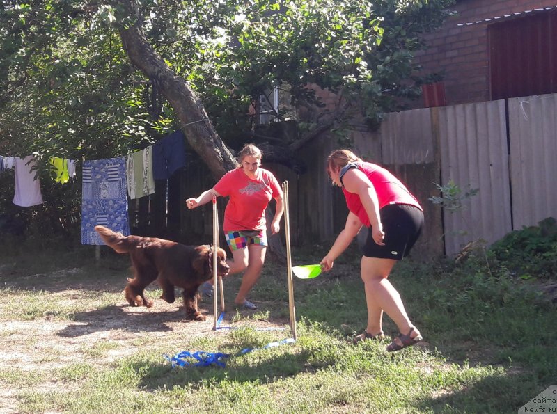 Фотография № 229401