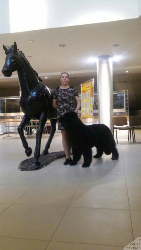 Фотография № 229409