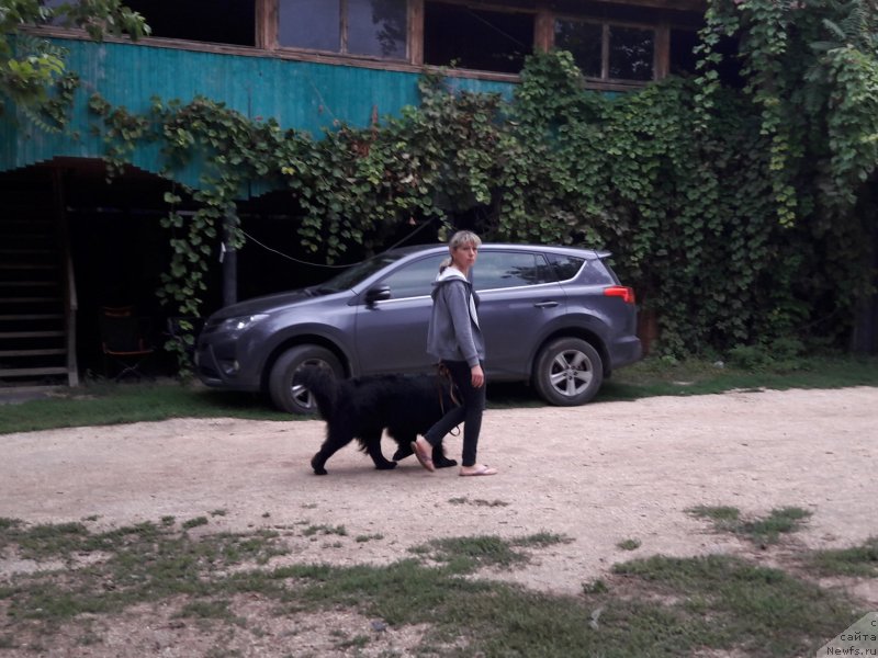 Фотография № 229417