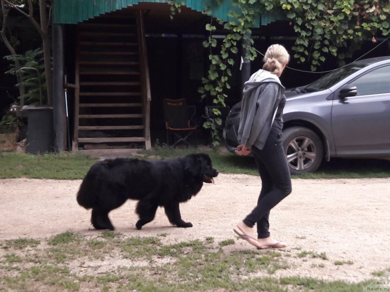 Фотография № 229422