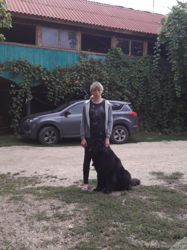 Фотография № 229424