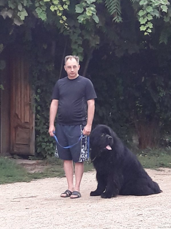 Фотография № 229428