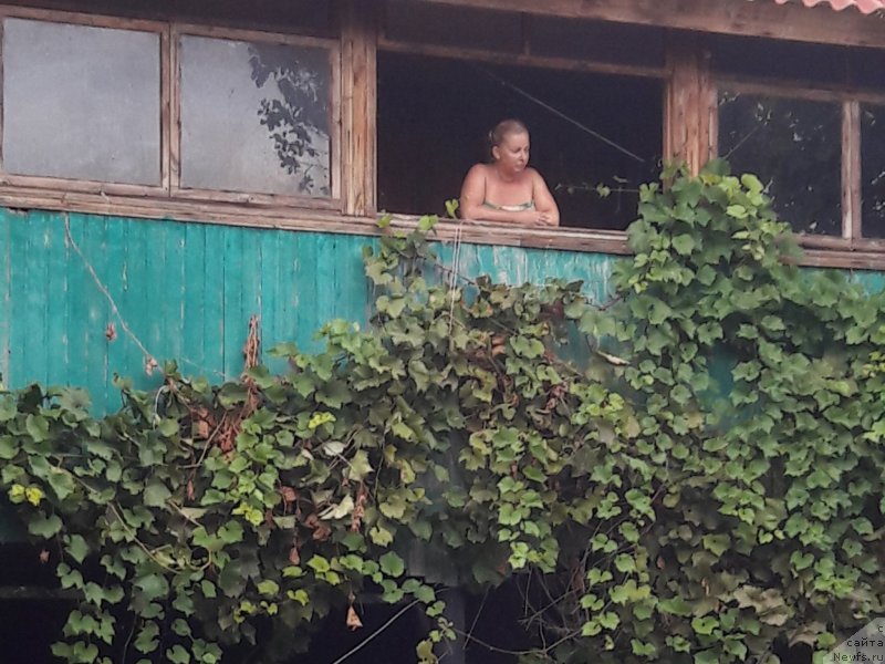 Фотография № 229432