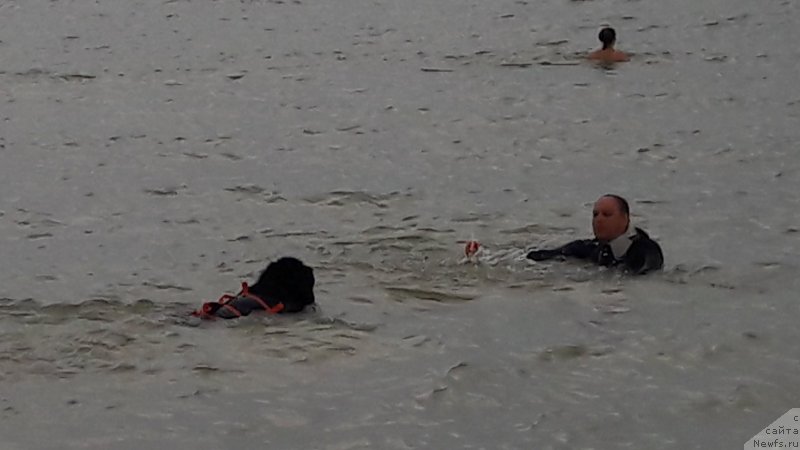 Фотография № 229436