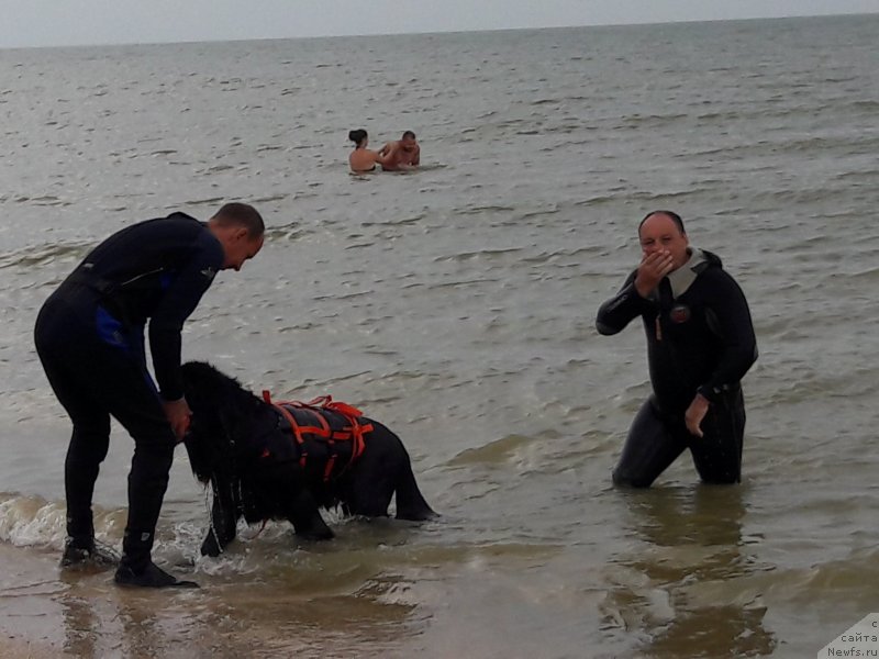 Фотография № 229438