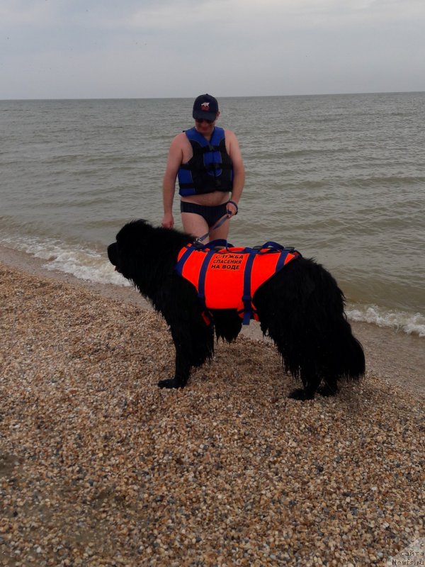 Фотография № 229442