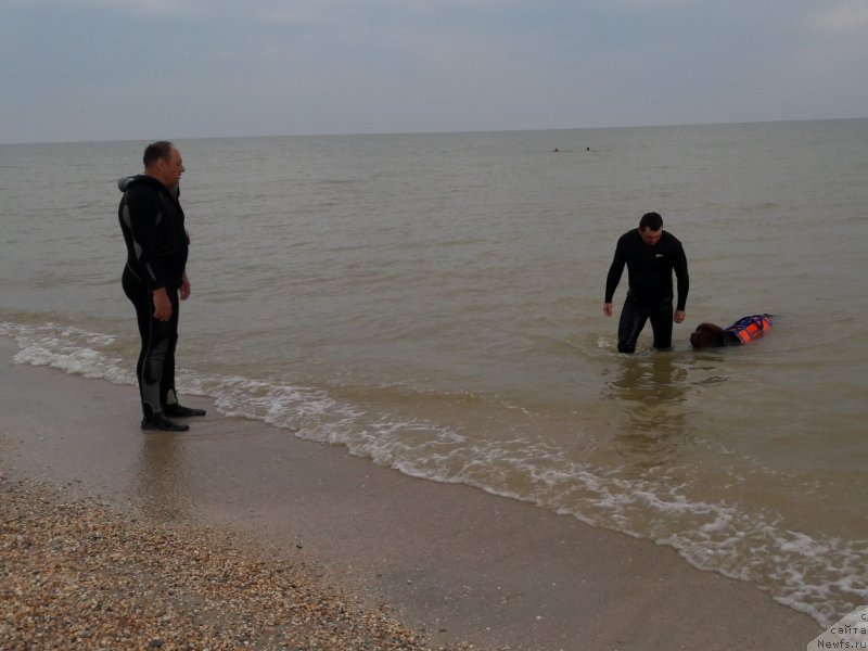 Фотография № 229447