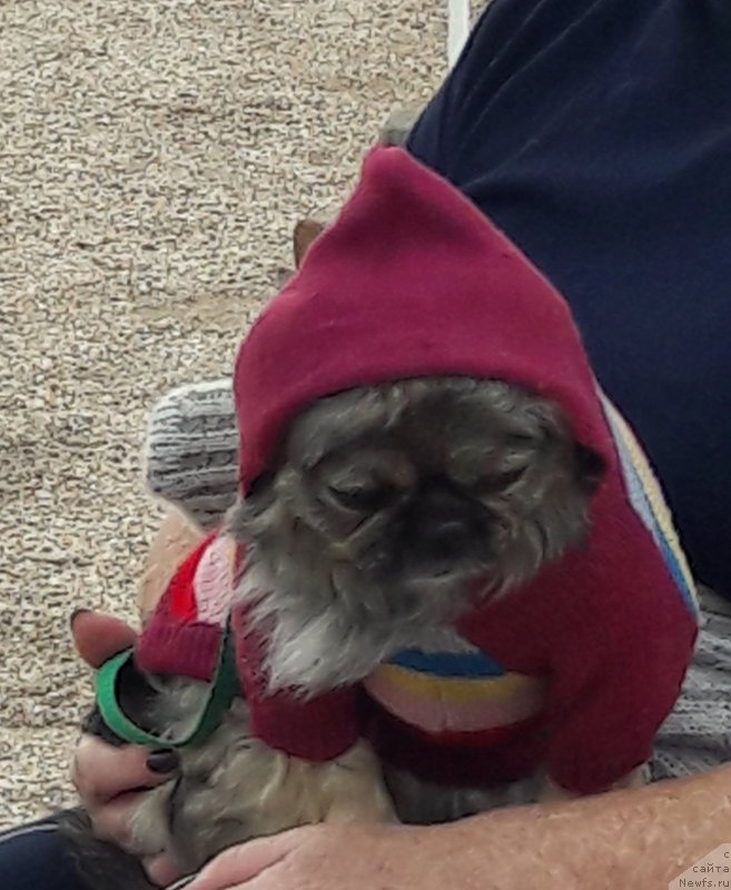 Фотография № 229449