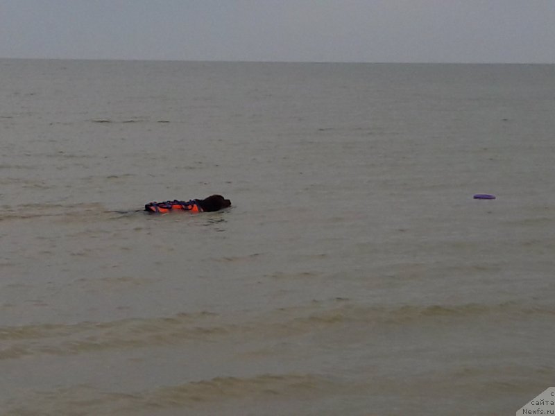 Фотография № 229451