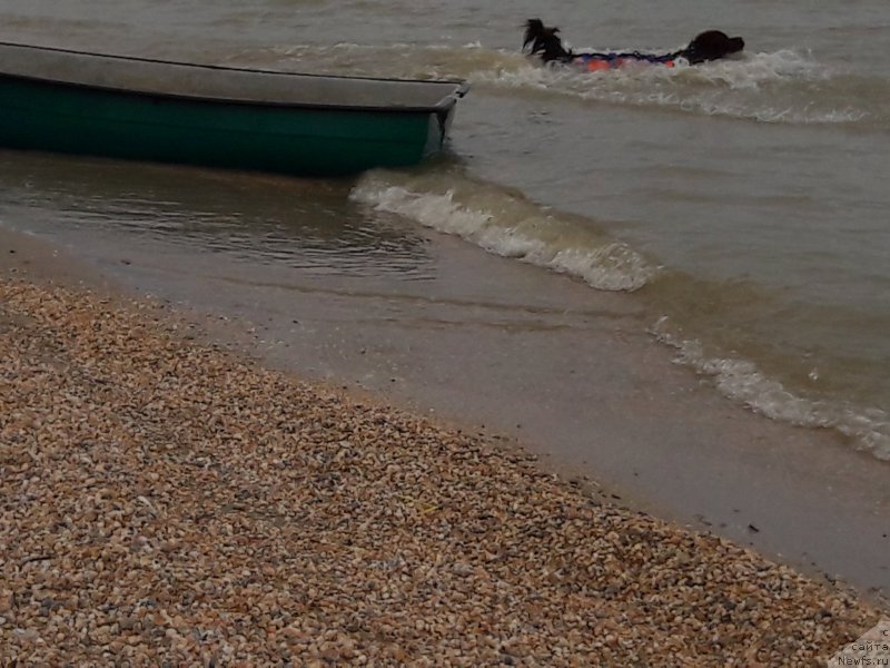 Фотография № 229452