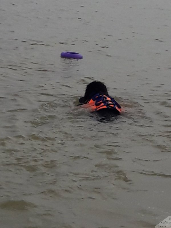 Фотография № 229454