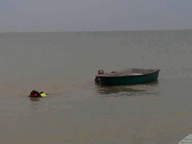 Фотография № 229460