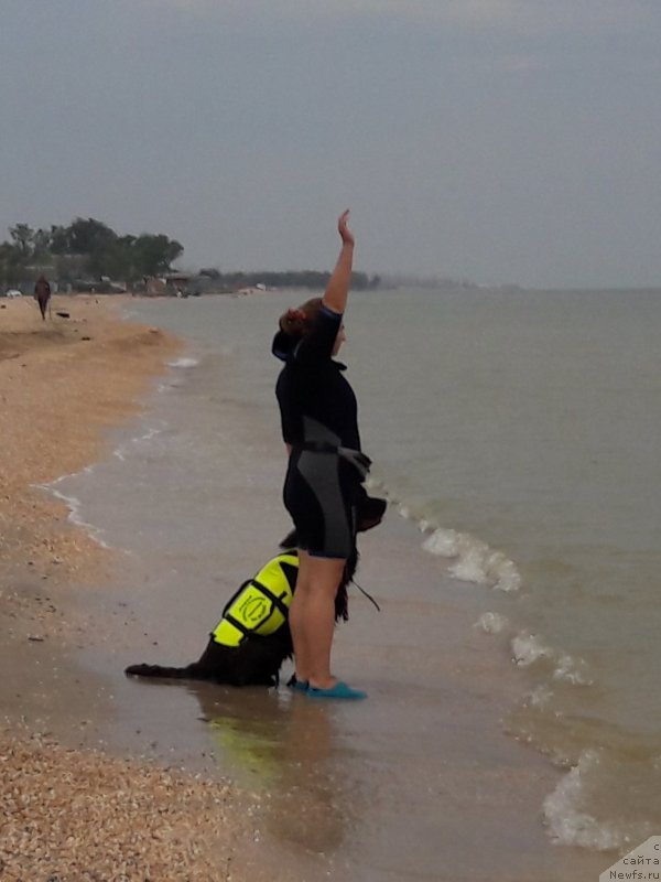 Фотография № 229463