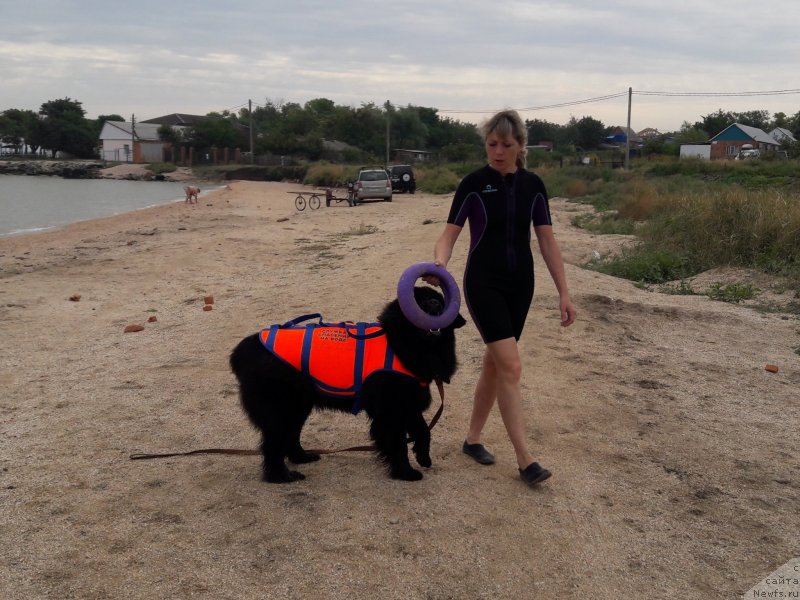 Фотография № 229466