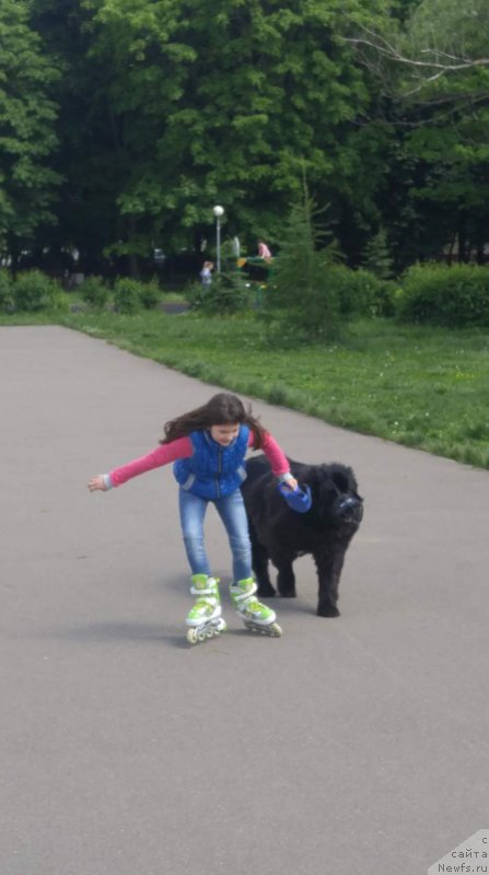 Фотография № 229502