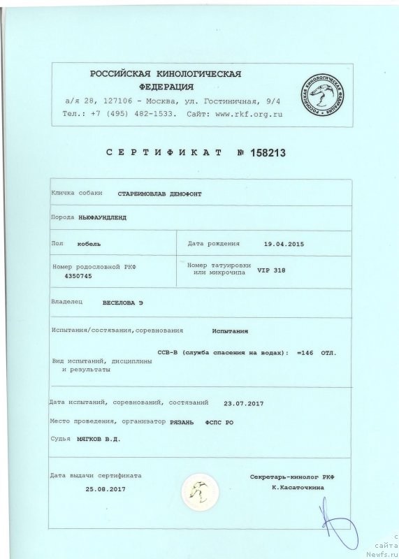 Фото: ньюфаундленд Starbimovlav Demofont (Старбимовлав Демофонт)