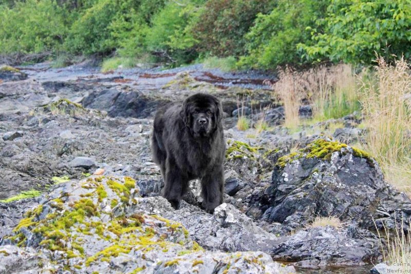 Фотография № 229528