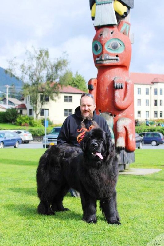 Фотография № 229530