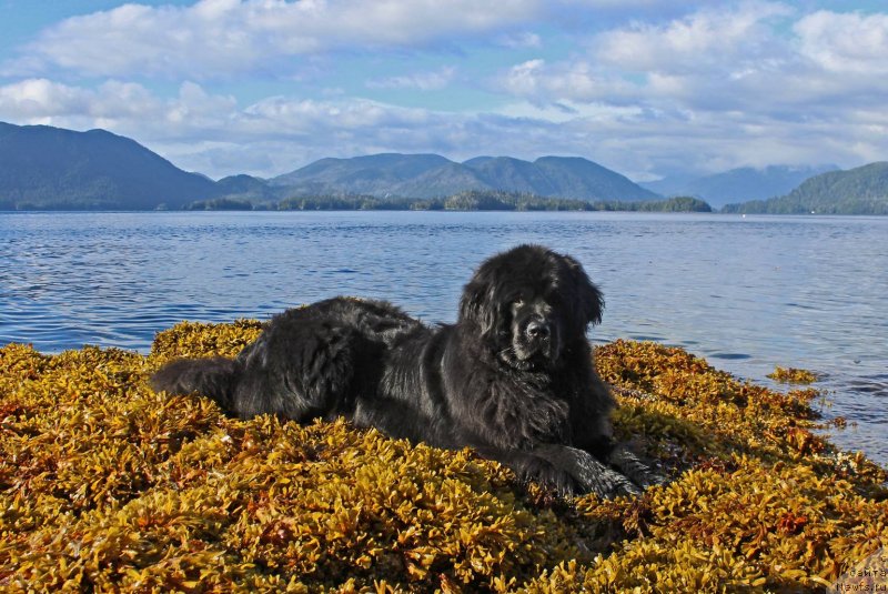 Фотография № 229532