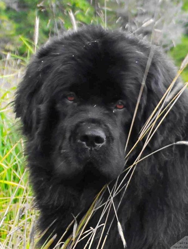 Фотография № 229536