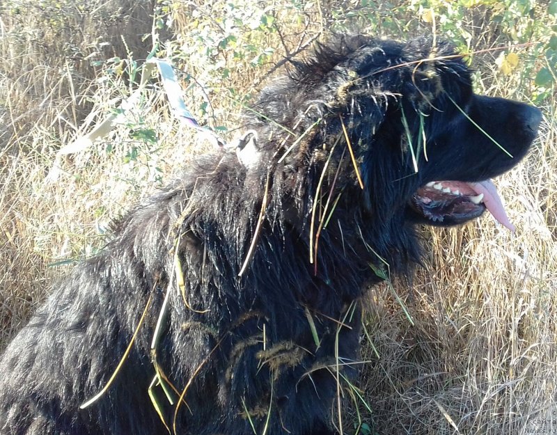 Фотография № 229548