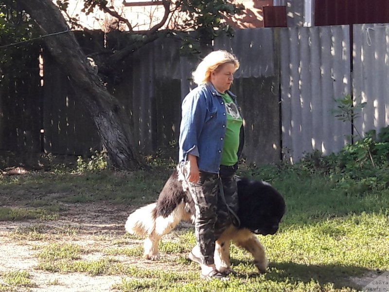 Фотография № 229555