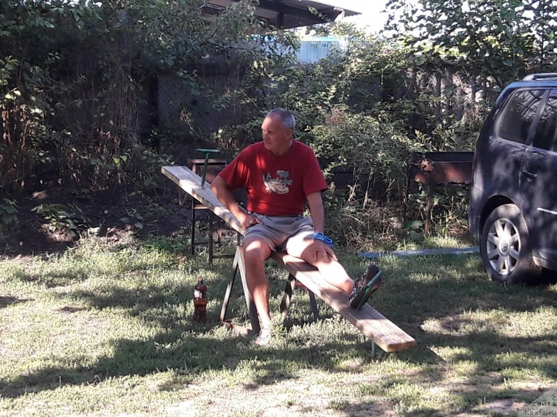 Фотография № 229557