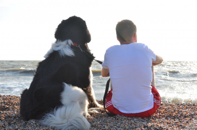 Фотография № 229567